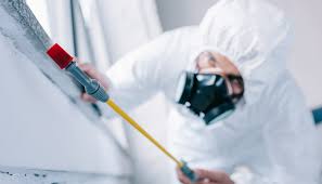 Best Termite Inspection and Treatment  in Fairmont City, IL